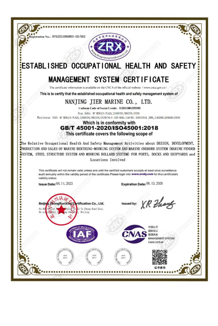 ISO 45001 Système de gestion de la santé et de la sécurité au travail établi_01-800x1200